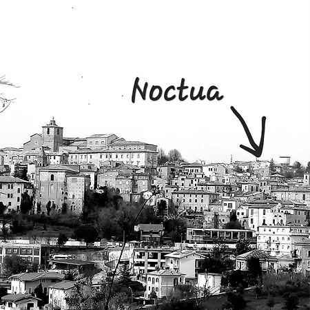 Noctua * Penne