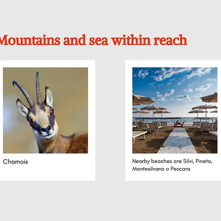 Noctua Bed & Breakfast Penne