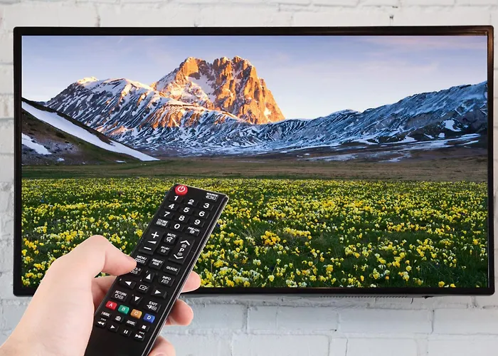 Noctua Bed & Breakfast