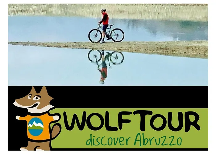 Bed & Breakfast Noctua