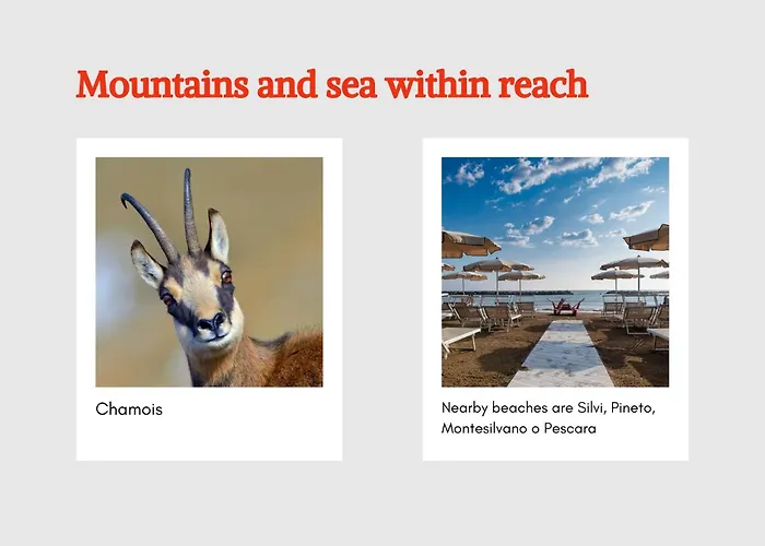 Noctua Bed & Breakfast Penne